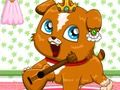 Гульня Pet рулетка  онлайн
