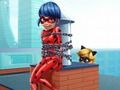 Гульня Cat Noir Выратавальныя Божая кароўка  онлайн