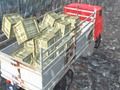 Гульня Кіроўца грузавіка пазадарожнай дарогі онлайн