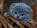 Гульня Галаваломкі: Коткі  онлайн