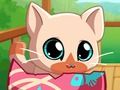 Гульня Маё кішэнныя Жывёлы Kitty Cat  онлайн