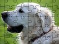 Гульня Пазлы Хатнія жывёлы  онлайн