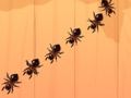 Гульня Ant Antash  онлайн