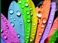 Гульня Колеры і ўзоры  онлайн