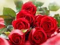 Гульня Чырвоныя ружы  онлайн