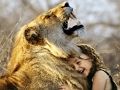 Гульня Леў і дзяўчына галаваломкі  онлайн