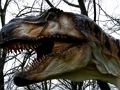 Гульня Пазл дыназаўраў T-Rex  онлайн