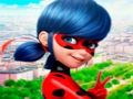 Гульня Калекцыя галаваломкі LadyBug  онлайн