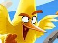 Гульня Калекцыя галаваломкі Angry Birds  онлайн