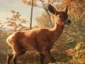 Гульня Аўтамабіль паркоўкі джыпаў Safari Sim: Прыгоды джунгляў  онлайн