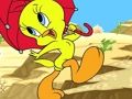 Гульня Калекцыя галаваломкі Tweety онлайн Гульня Калекцыя галаваломкі Tweety онлайн