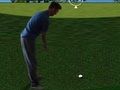 Гульня Flash Golf 3D  онлайн