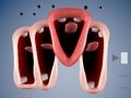 Гульня Смешны хор онлайн Гульня Смешны хор онлайн