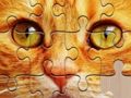 Гульня Неабмежаваная колькасць галаваломак  онлайн