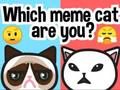 Гульня Які ты мем-кот?  онлайн