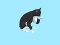 Гульня Cat Escape: Гуляць у галоднага ката  онлайн