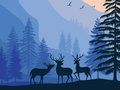 Гульня Пейзажны рай схаваны  онлайн