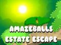 Гульня Ўцёкі з нерухомасці Amazeballs  онлайн