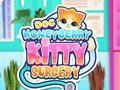 Гульня Хірургія Doc HoneyBerry Kitty  онлайн