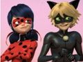 Гульня Пазл Miraculous Ladybug & Cat Noir  онлайн