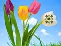 Гульня Ўцёкі з кветкавага лужка  онлайн