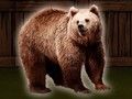 Гульня Ратуйце мядзведзя Грызлі  онлайн