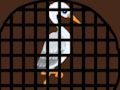 Гульня Выратаванне пячорнага жураўля  онлайн