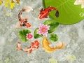 Гульня Сажалка для рыбы коі  онлайн