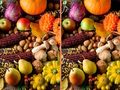 Гульня У чым розніца? онлайн Гульня У чым розніца? онлайн