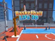 Гульня Баскетбольная жыццё 3D  онлайн