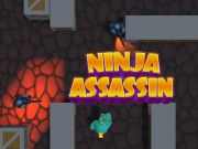 Гульня Ninja Assassin онлайн