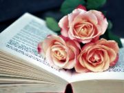 Гульня Кніга і кветкі галаваломкі онлайн