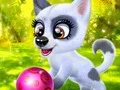 Гульня Happy Dog онлайн