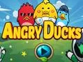 Гульня Angry Ducks онлайн