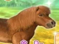 Гульня My Dear Pony онлайн