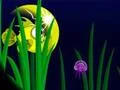 Гульня Flash Fish Freddie онлайн
