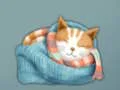 Гульня Adorable Escape Find Cute Kitten онлайн