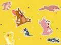 Гульня The Tom and Jerry Show Find it! онлайн