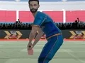 Гульня Cricket Powerplay онлайн