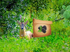 Гульня Return To Alsunga Forest онлайн