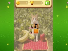 Гульня Farm Cat Memory Match онлайн