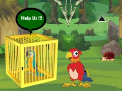 Гульня Release Trapped Macaw Buddy онлайн