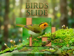 Гульня Birds Slide онлайн