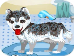 Гульня My Cute Dog Bathing онлайн