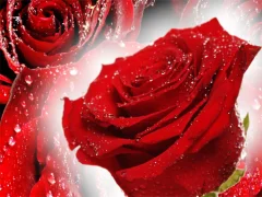 Гульня Red Roses онлайн