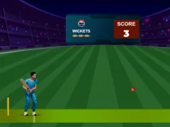 Гульня Cricket Night 2 онлайн