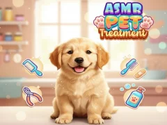 Гульня Asmr Pet Treatment онлайн