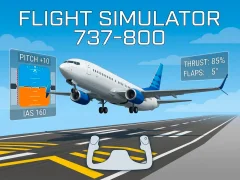 Гульня Flight Simulator 737-800 онлайн
