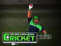 Гульня Cricket Fielder Challenge онлайн
