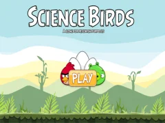 Гульня Science Birds онлайн